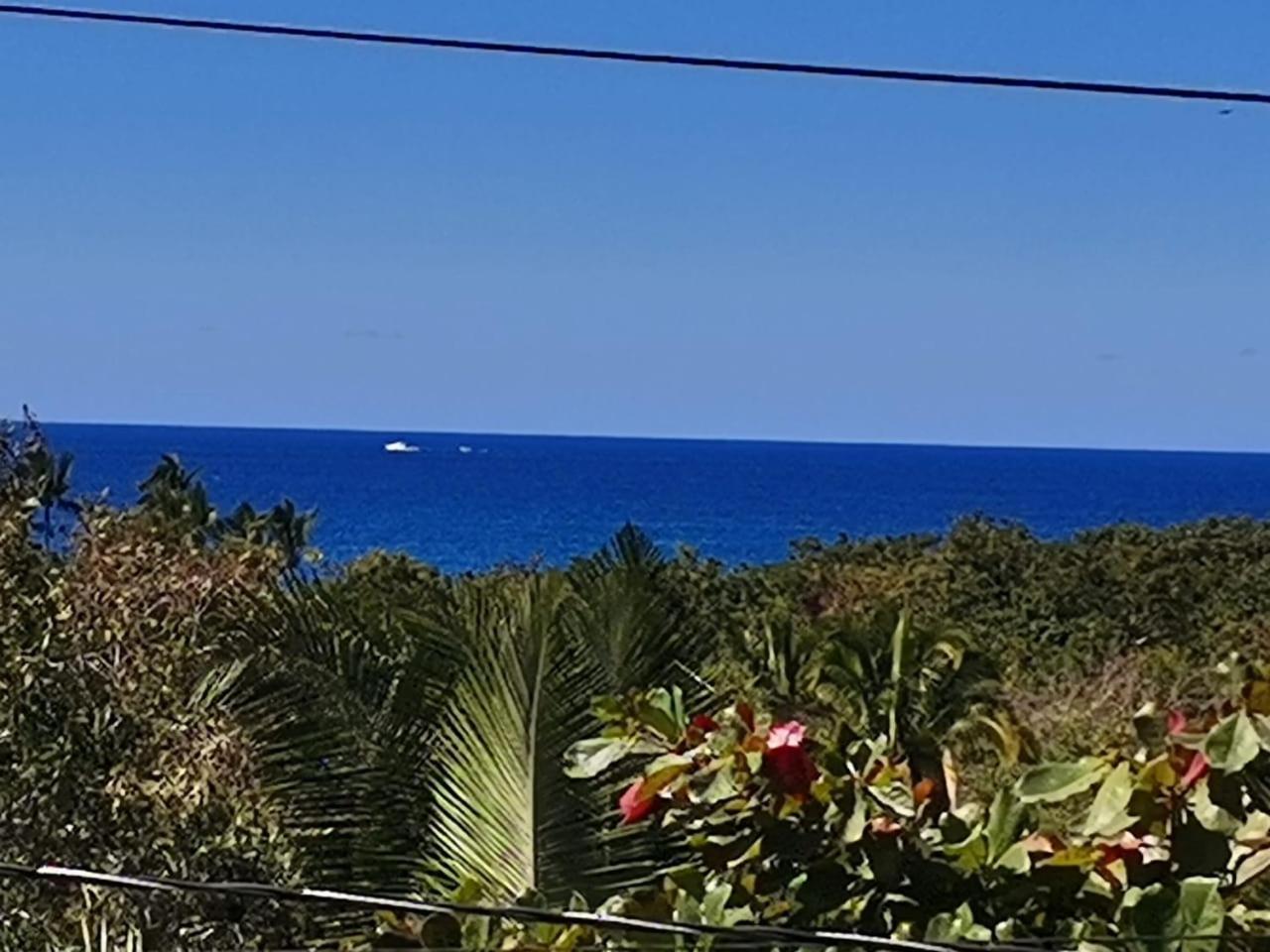 Hotel Quinta Mar Y Selva Chacala  Dış mekan fotoğraf
