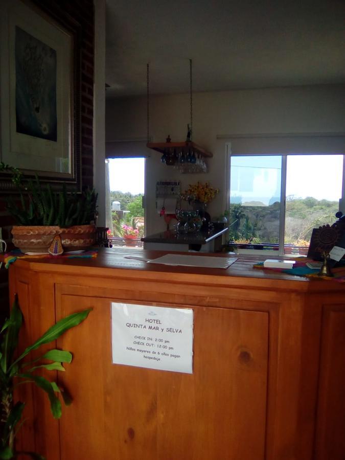 Hotel Quinta Mar Y Selva Chacala  Dış mekan fotoğraf
