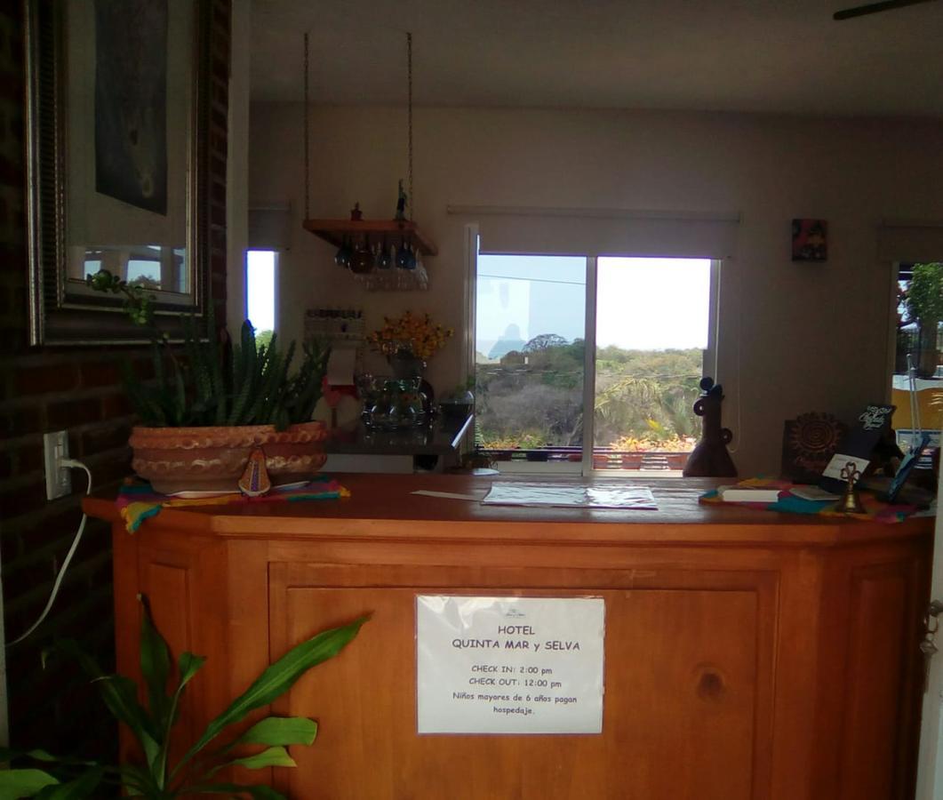 Hotel Quinta Mar Y Selva Chacala  Dış mekan fotoğraf